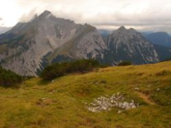 2013-09-08_6Falkenh-Steinfalk (255).JPG